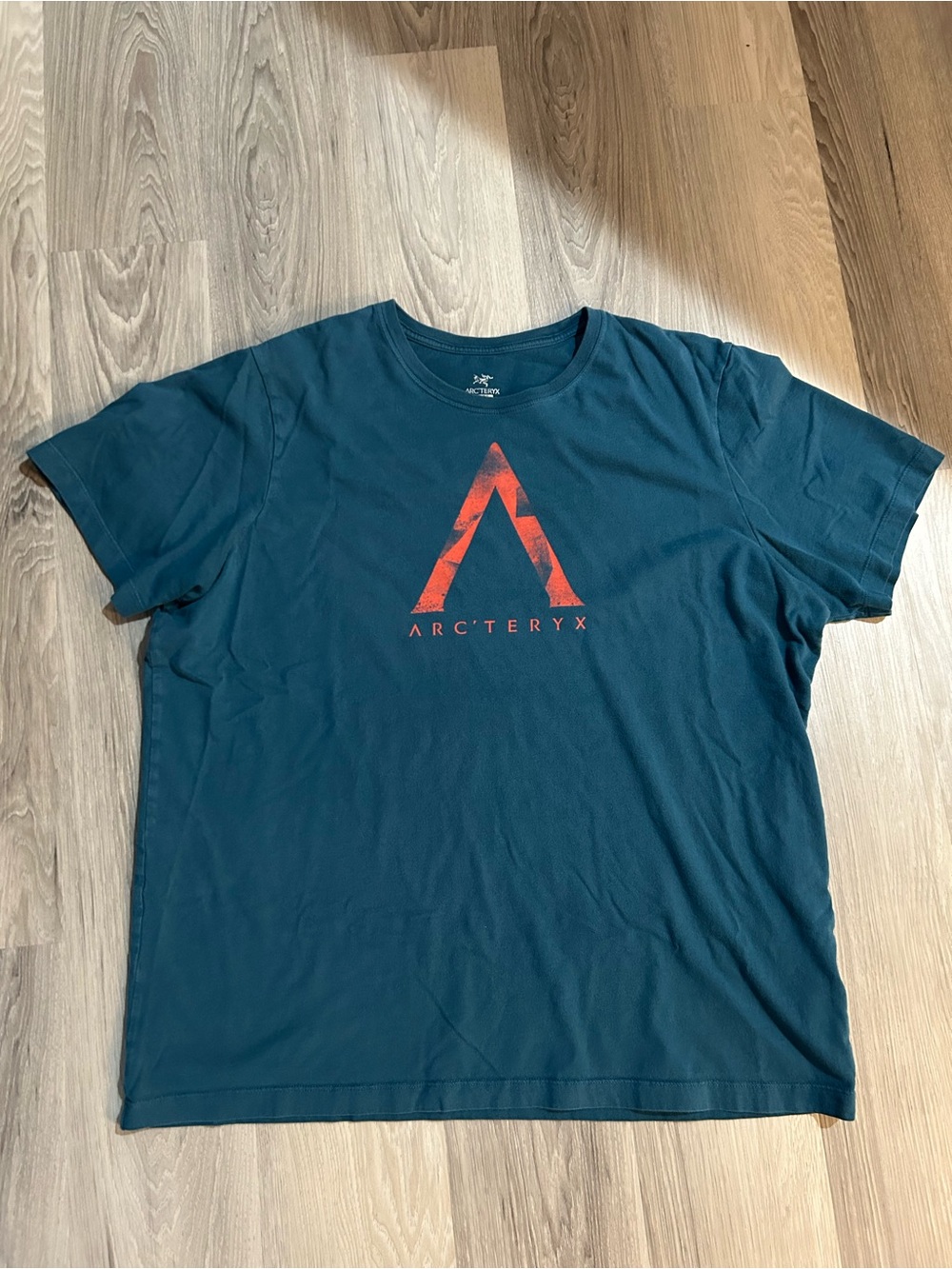Arc'teryx Men's Teal Blue Tee with Red Graphic